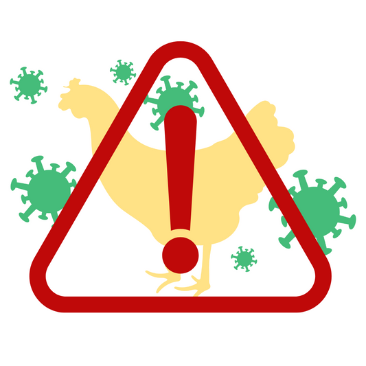 Aviäre Influenza: Aktuelle Situation und empfohlene Schutzmaßnahmen